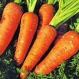 Zimski nektar od šargarepe